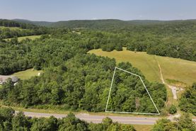 Undeveloped Land for sale in Walker County, Georgia