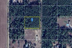Undeveloped Land for sale in Levy County, Florida