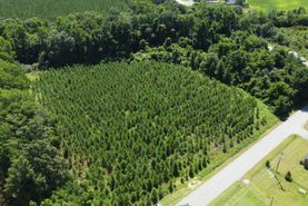 Undeveloped Land for sale in Georgetown County, South Carolina