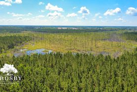 Recreational Property for sale in Evans County, Georgia