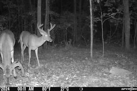 Recreational Property for sale in Marion County, Alabama