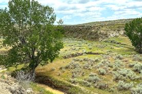 Undeveloped Land for sale in Custer County, Montana
