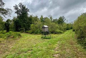Undeveloped Land for sale in Winston County, Mississippi