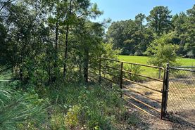 Undeveloped Land for sale in Amite County, Mississippi
