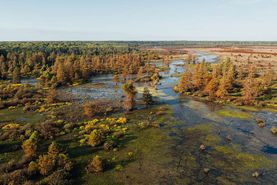 Undeveloped Land for sale in Carroll County, Mississippi