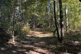 Undeveloped Land for sale in Leake County, Mississippi