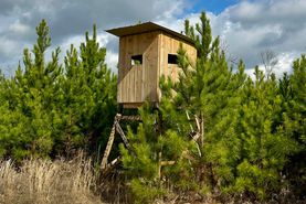 Undeveloped Land for sale in Jasper County, Mississippi