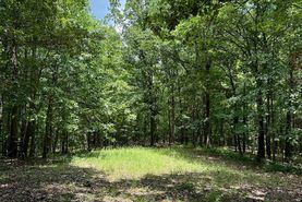 Undeveloped Land for sale in Carroll County, Mississippi