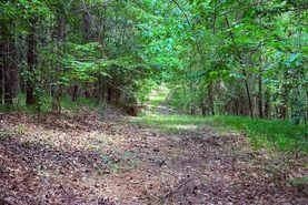 Undeveloped Land for sale in Carroll County, Mississippi