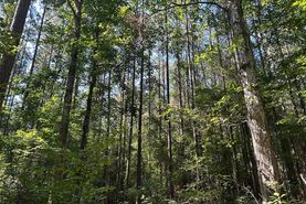 Recreational Property for sale in Rankin County, Mississippi