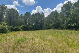 Recreational Property for sale in Rankin County, Mississippi