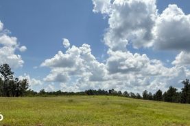 Recreational Property for sale in Perry County, Alabama