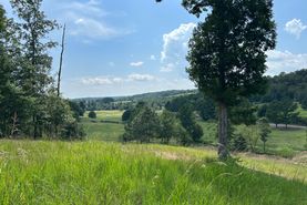 Farm Property for sale in Cullman County, Alabama
