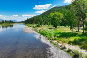 Undeveloped Land for sale in Missoula County, Montana