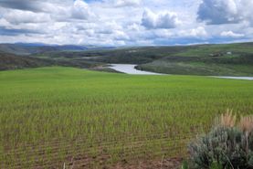 Lakefront Property for sale in Moffat County, Colorado