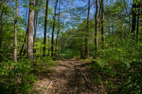 Recreational Property for sale in Halifax County, Virginia