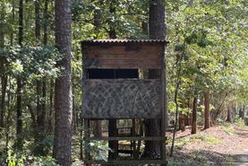 Timberland Property for sale in Calhoun County, South Carolina