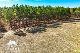 Recreational Property for sale in Darlington County, South Carolina