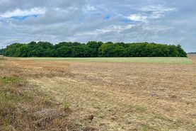 Undeveloped Land for sale in Dooly County, Georgia