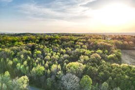 Undeveloped Land for sale in Morgan County, Alabama