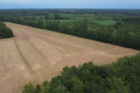 Hunting Land for sale in Williamsburg County, South Carolina