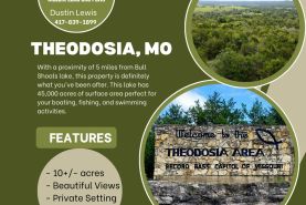 Undeveloped Land for sale in Ozark County, Missouri