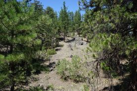Property for sale in Cascade County, Montana