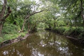 Hunting Land for sale in Lavaca County, Texas
