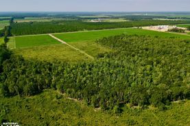 Property for sale in Escambia County, Alabama