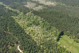 Recreational Property for sale in Pike County, Arkansas