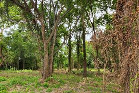 Undeveloped Land for sale in Harris County, Texas