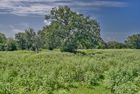 Ranch Property for sale in Washington County, Texas