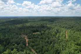 Recreational Property for sale in Randolph County, Alabama