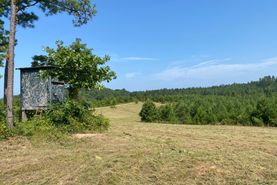 Recreational Property for sale in Tuscaloosa County, Alabama