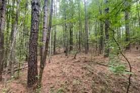 Timberland Property for sale in Marion County, Alabama
