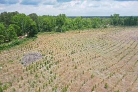 Undeveloped Land for sale in Bulloch County, Georgia