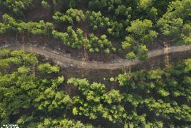 Undeveloped Land for sale in Perry County, Mississippi