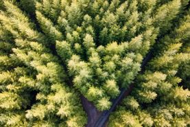 Ranch Property for sale in Lane County, Oregon