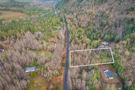 Undeveloped Land for sale in Lewis County, Washington