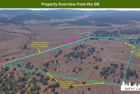 Undeveloped Land for sale in Catron County, New Mexico