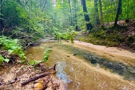 Timberland Property for sale in Winston County, Alabama