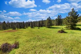 Undeveloped Land for sale in Lincoln County, Washington