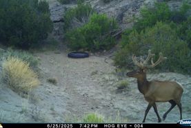 Recreational Property for sale in Cibola County, New Mexico