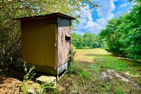 Residential Property for sale in Winston County, Alabama