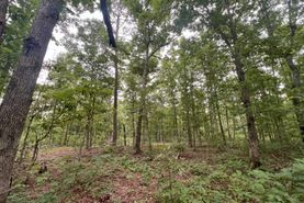 Timberland Property for sale in Shannon County, Missouri