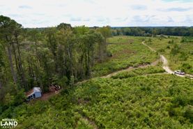 Hunting Land for sale in Laurens County, Georgia