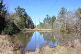 Undeveloped Land for sale in Polk County, Texas