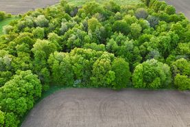 Undeveloped Land for sale in Waushara County, Wisconsin