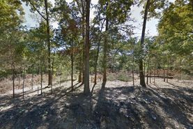 Undeveloped Land for sale in Henderson County, Texas