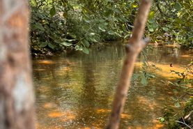 Farm Property for sale in Fayette County, Alabama